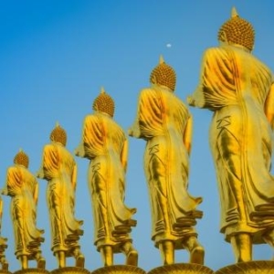 Der Weg der Buddhas